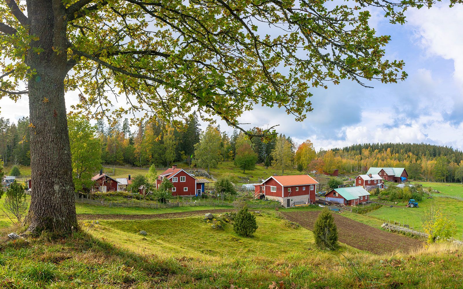 Insamlingsstiftelsen Tourista Foundation